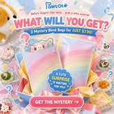 Pawtoto Lucky Blind Bag Squishy Toy Stress Relief Toys Squishy Stressball