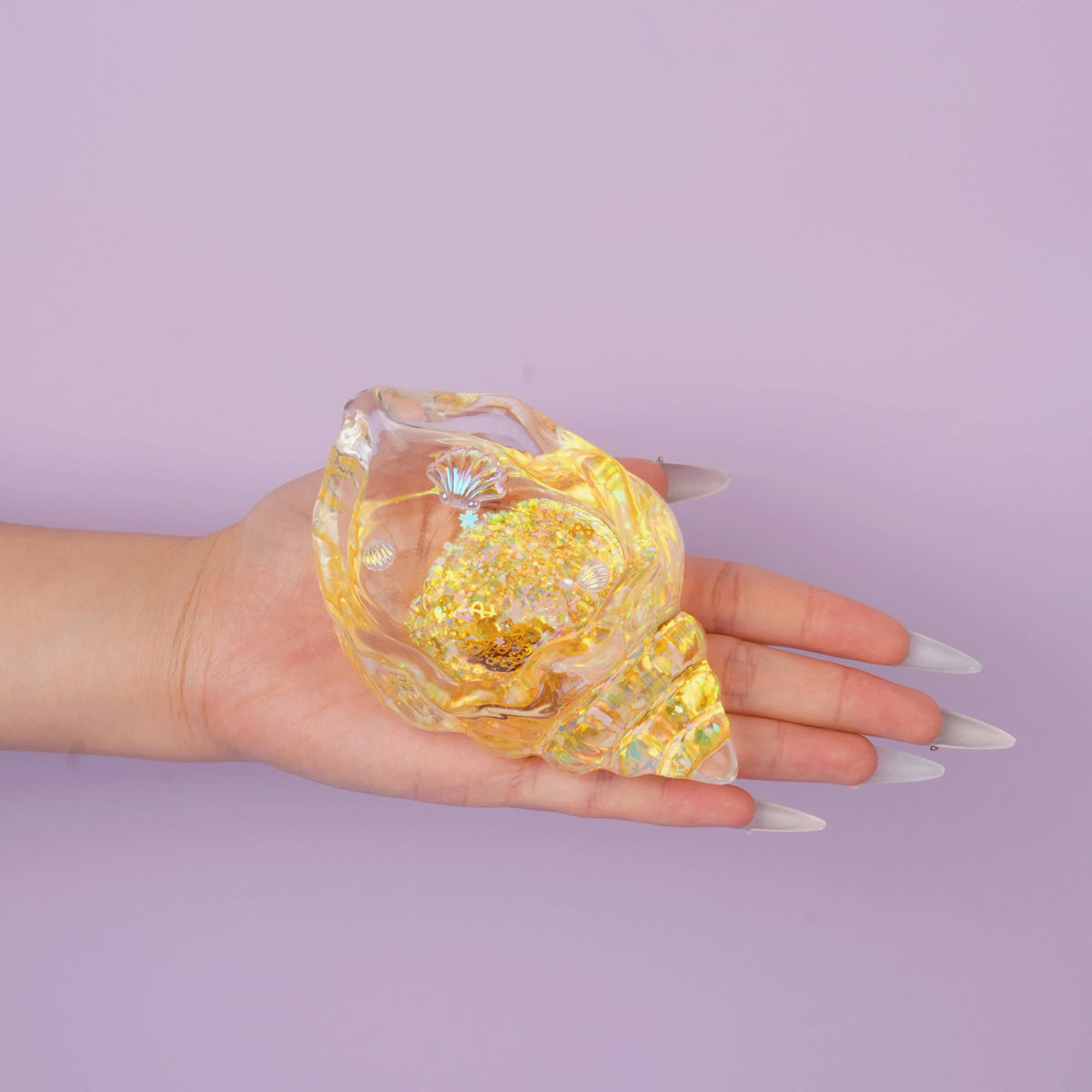 Pawtoto Clear Seashell Squishy Toy Handmade Food Grade Silicon Water Feel Medium Firm Quick Rebound