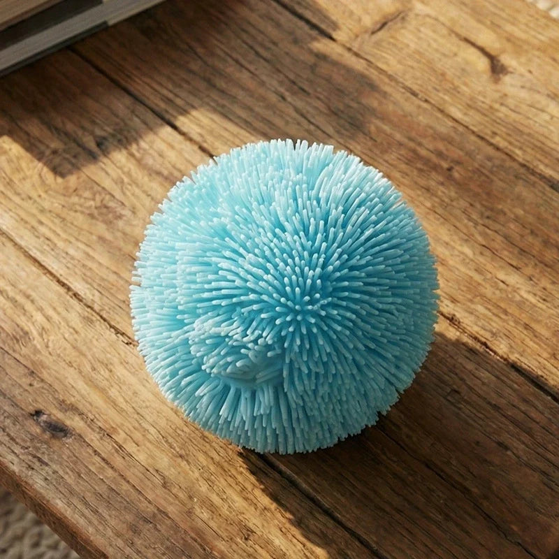 Pawtoto Sea Urchin Big Squishy Ball Series Stress Relief Toys Squishy Stressball