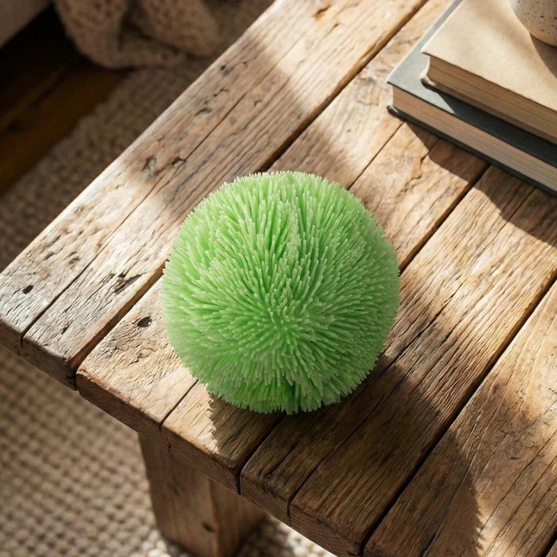 Pawtoto Sea Urchin Big Squishy Ball Series Stress Relief Toys Squishy Stressball